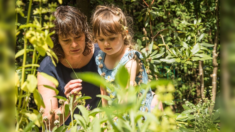 Wer ein kleines Kind mit Entdeckungslust hat, sollte genau prüfen, welche Pflanzen im Garten einziehen. (Foto: Christin Klose/dpa-tmn)