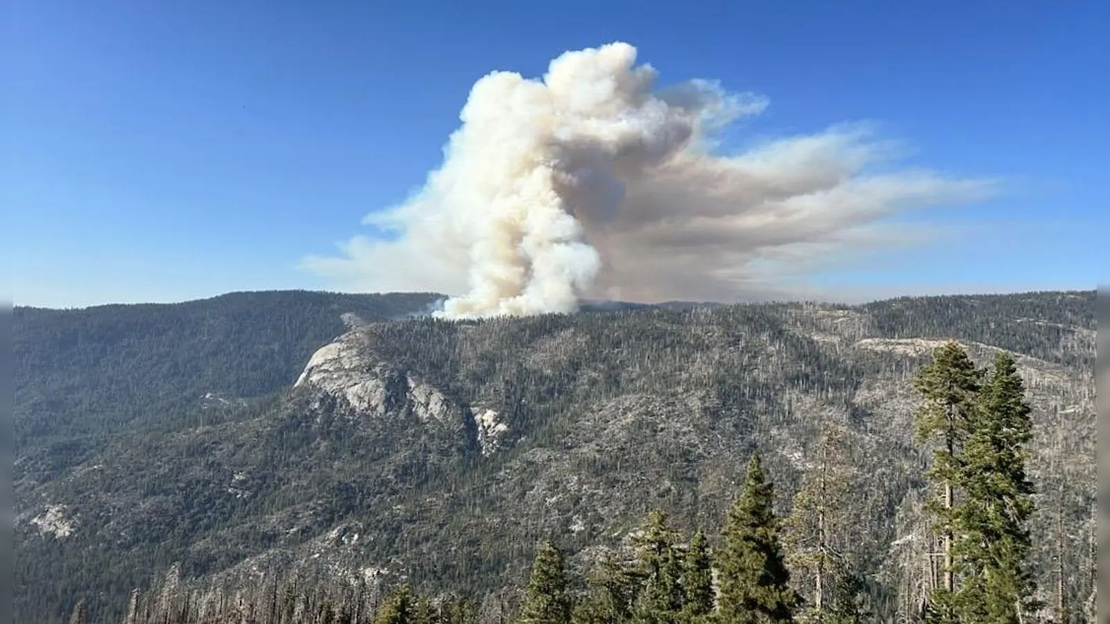 Beim Absturz des Löschhubschraubers kamen beide Insassen ums Leben. (Foto: Uncredited/National Parks Service/AP/dpa)