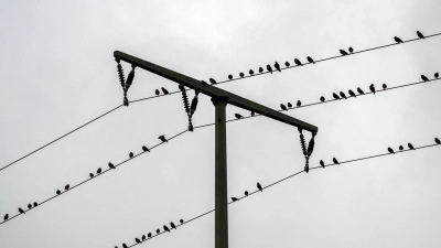 Im Laufe des Samstags sollen die Wolken über Bayern zunehmen aufreißen. (Archivbild) (Foto: Pia Bayer/dpa)