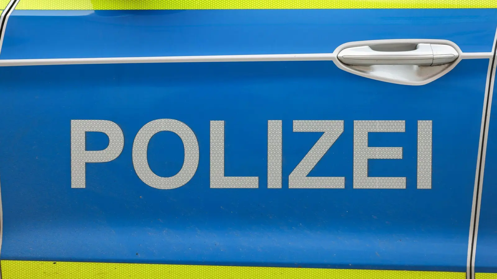 Die Polizei sucht am Geiseltalsee in Sachsen-Anhalt nach einer Großkatze. (Symbolbild) (Foto: Jan Woitas/dpa)