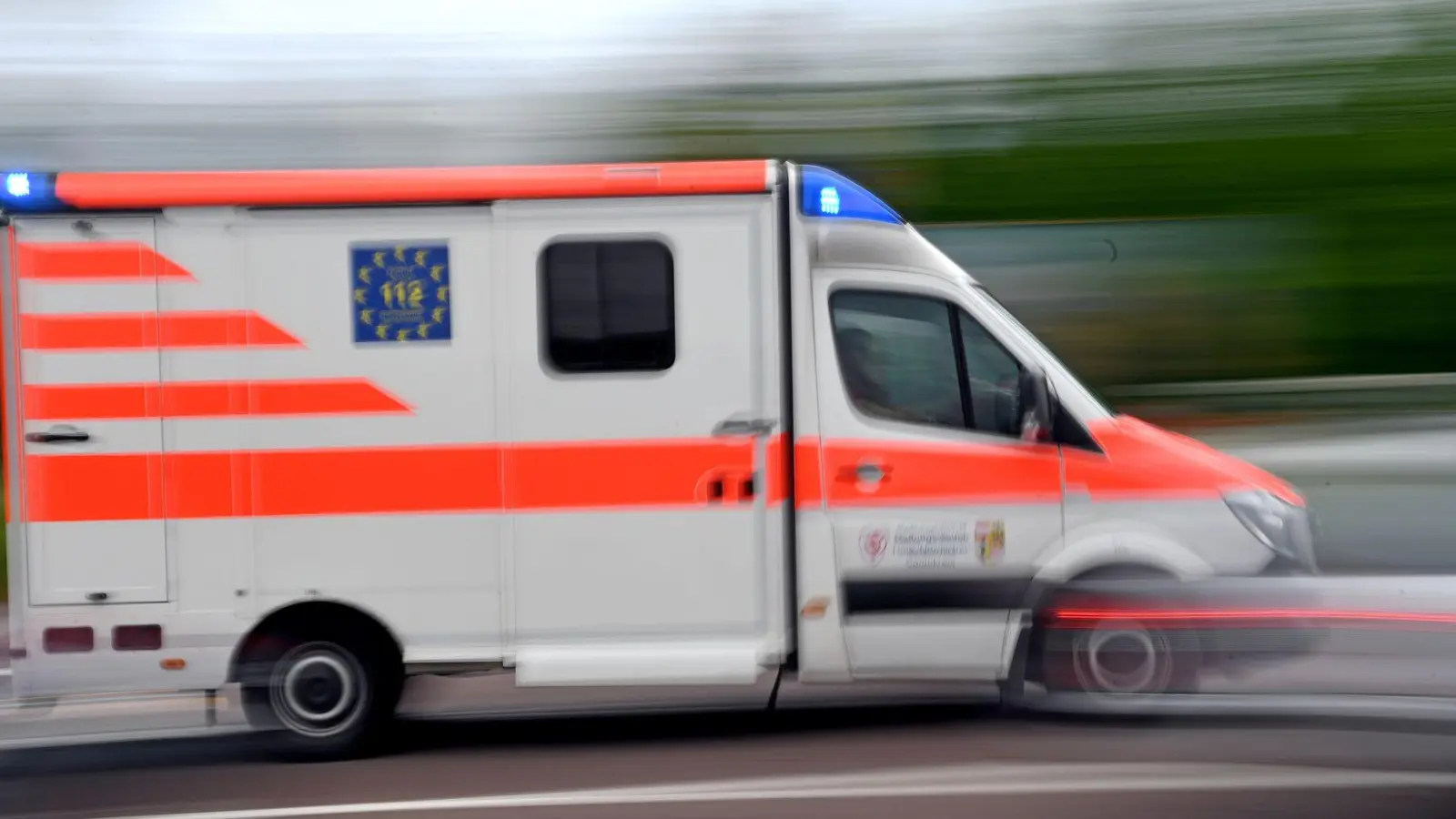 Bei Forstarbeiten ist ein 77-Jähriger ums Leben gekommen. (Symbolbild) (Foto: Hendrik Schmidt/dpa-Zentralbild/dpa)