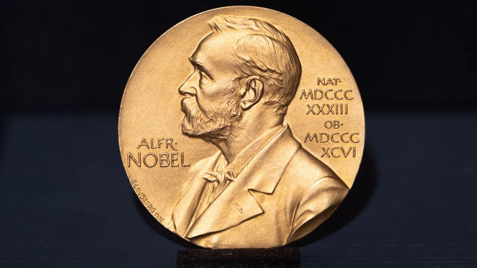 Die Nobelpreise zählen zu den prestigeträchtigsten Auszeichnungen der Welt. (Archivbild) (Foto: Daniel Reinhardt/dpa)