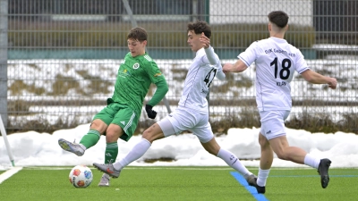 Luis Althaus (links) überzeugte den Ansbacher Trainer in der Vorbereitung.  (Foto: Martin Rügner)
