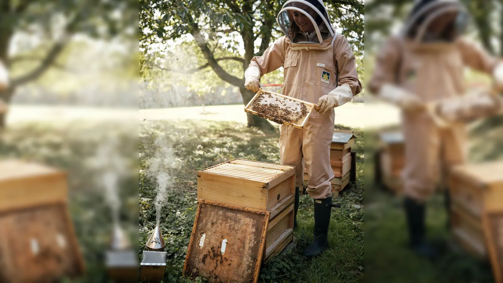 Prinzessin Kate im letzten Sommer bei der  Pflege eines Bienenstocks in den Gärten von Anmer Hall. (Foto: Matt Porteous/Kensington Palace/PA Media/dpa)