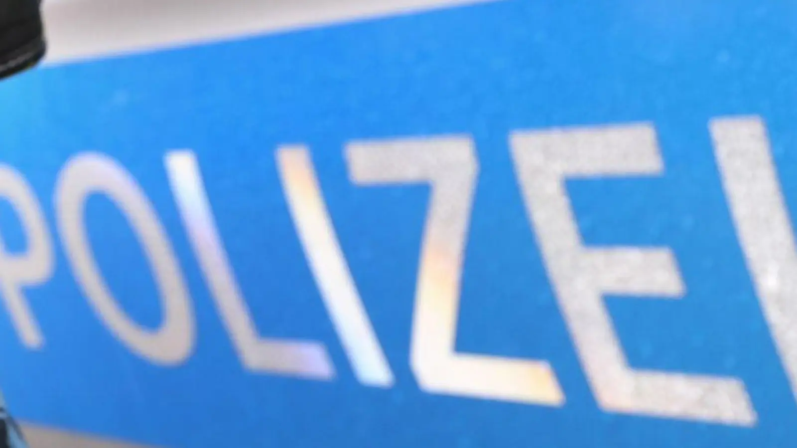 Einer der beiden Verdächtigen kam in Untersuchungshaft. (Symbolbild) (Foto: Karl-Josef Hildenbrand/dpa)