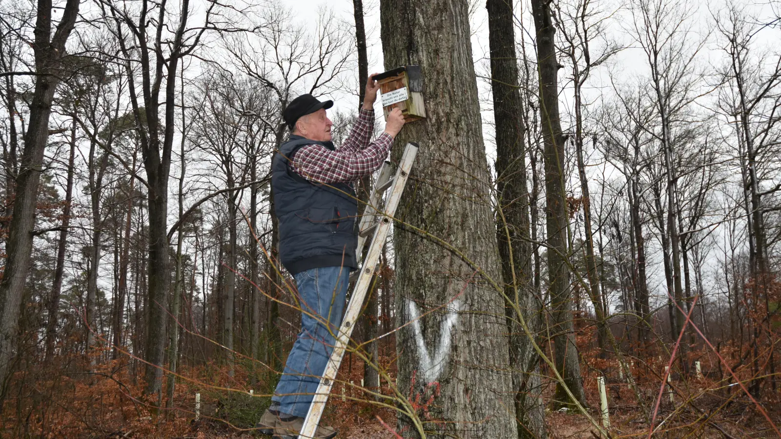 Das weiße „V“ kennzeichnet einen Baum, an dem ein Nistkasten angebracht werden kann. „Die Natur braucht uns alle. Was tust du dafür?“, steht auf diesem geschrieben. (Foto: Anita Dlugoß)