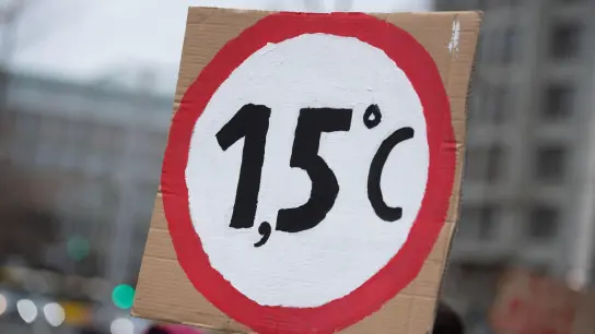 Klimaaktivisten fordern die Einhaltung des 1,5-Grad-Ziels - doch das wird nicht klappen, so eine neue Studie. (Foto: Christophe Gateau/dpa)