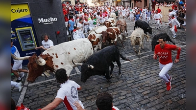 Die Stierhatzen im nordspanischen Pamplona sind schnell und gefährlich. Beim ersten von acht Läufen gab es zum Glück nur Leichtverletzte. Die Bullen aber sterben am späten Nachmittag in der Stierkampfarena. (Foto: Miguel Oses/AP/dpa)