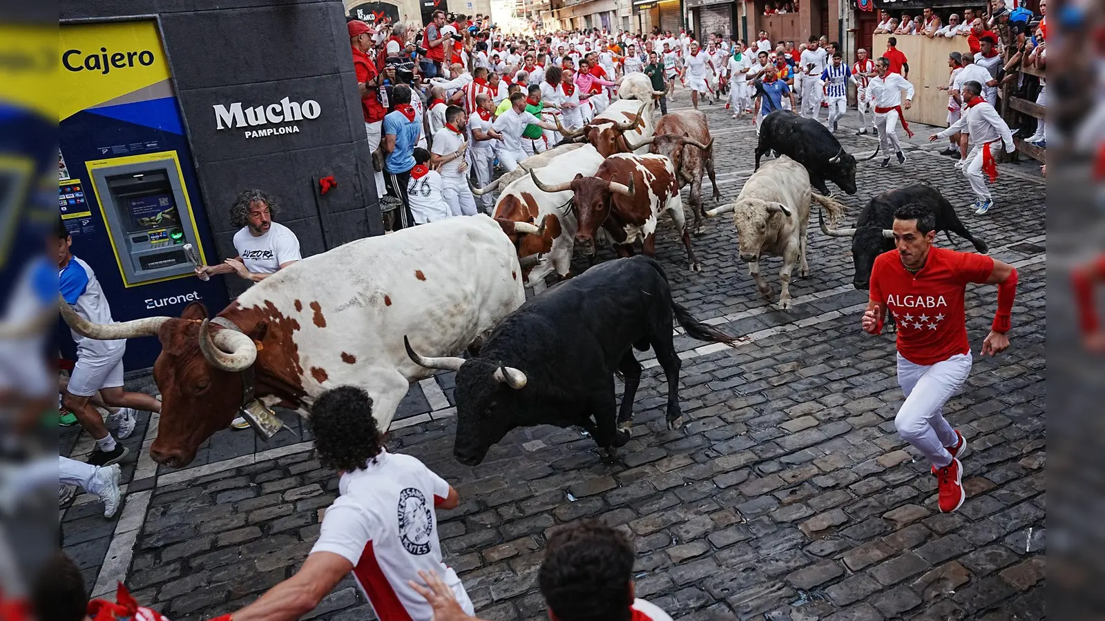 Die Stierhatzen im nordspanischen Pamplona sind schnell und gefährlich. Beim ersten von acht Läufen gab es zum Glück nur Leichtverletzte. Die Bullen aber sterben am späten Nachmittag in der Stierkampfarena. (Foto: Miguel Oses/AP/dpa)