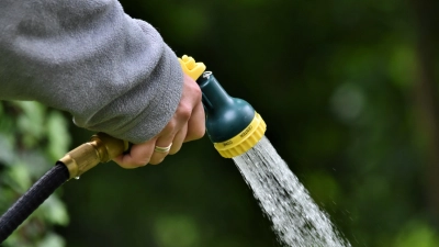 Über eine nachhaltige Bewässerung können Gartenbesitzende mit der Ressource Wasser sparsam umgehen, ohne dass die Pflanzen im Sommer vertrocknen.  (Foto: Pixabay)