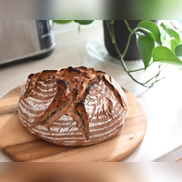 Nach dem Weiß-Prinzip hat Redakteurin Luca Paul ihr Sauerteig-Brot zu Hause angemischt. Das heißt: mit einer Tasse anstatt Waage.  (Foto: Luca Paul)