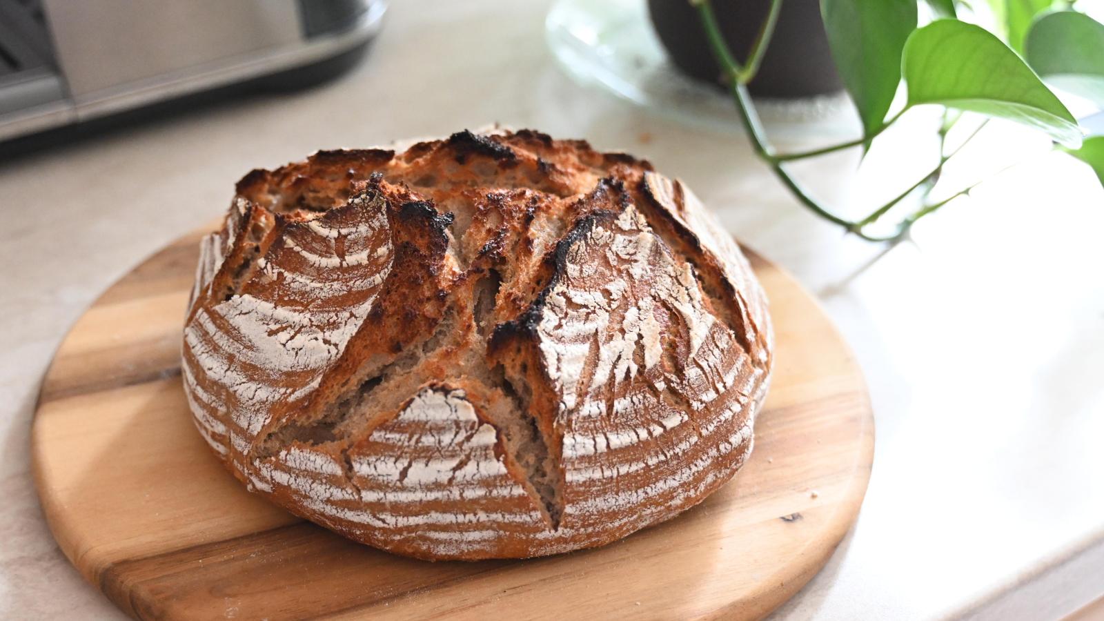 Sauerteig-Boom: Brothof in Höfstetten zeigt, wie einfach Backen geht