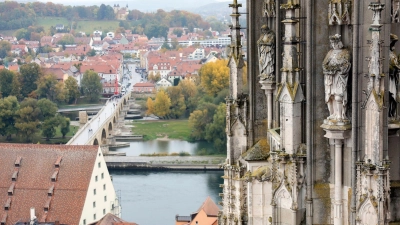 Mit Moos bedeckte Sandsteinfiguren stehen in rund 60 Metern Höhe an einem Turm des Regensburger Doms. (Foto: Daniel Löb/dpa/Archivbild)
