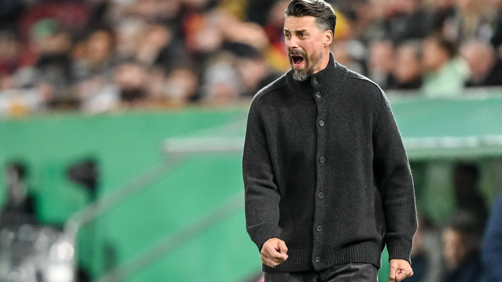 Der Frust muss raus: Sandro Wagner schreit am Spielfeldrand.  (Foto: Harry Langer/dpa)