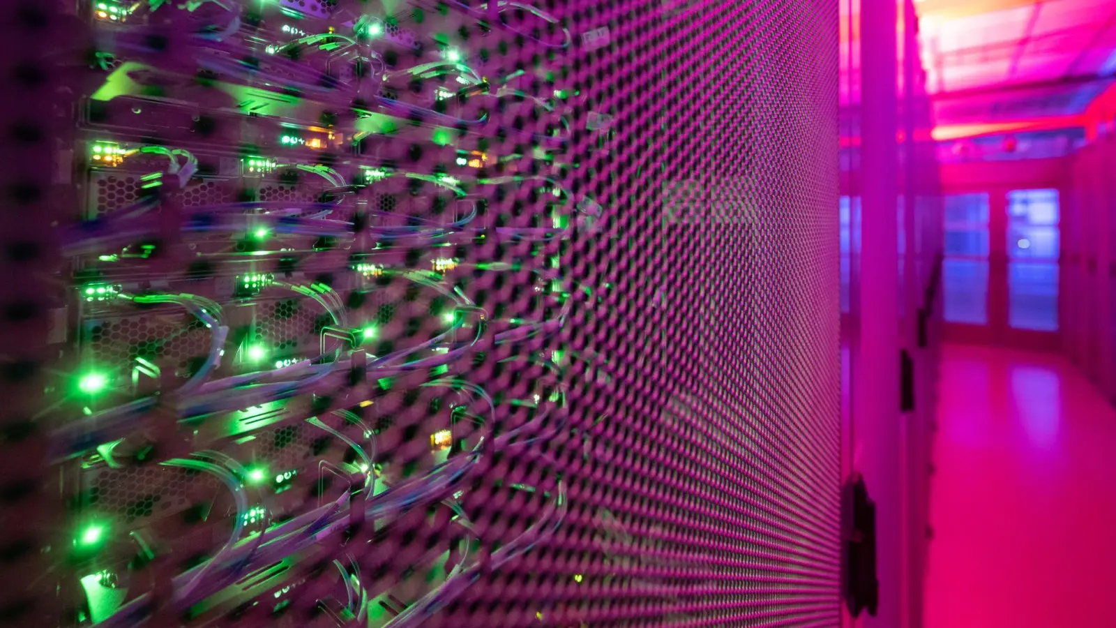 Die Bevölkerung in Deutschland steht dem weiteren Ausbau von Rechenzentren in der Bundesrepublik zunehmend kritisch gegenüber. (Archivbild) (Foto: Sebastian Gollnow/dpa)