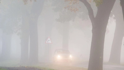 Bei dichtem Herbstnebel ist die Sicht beim Fahren stark beschränkt (Symbolbild: Patrick Pleul/dpa/dpa-tmn)