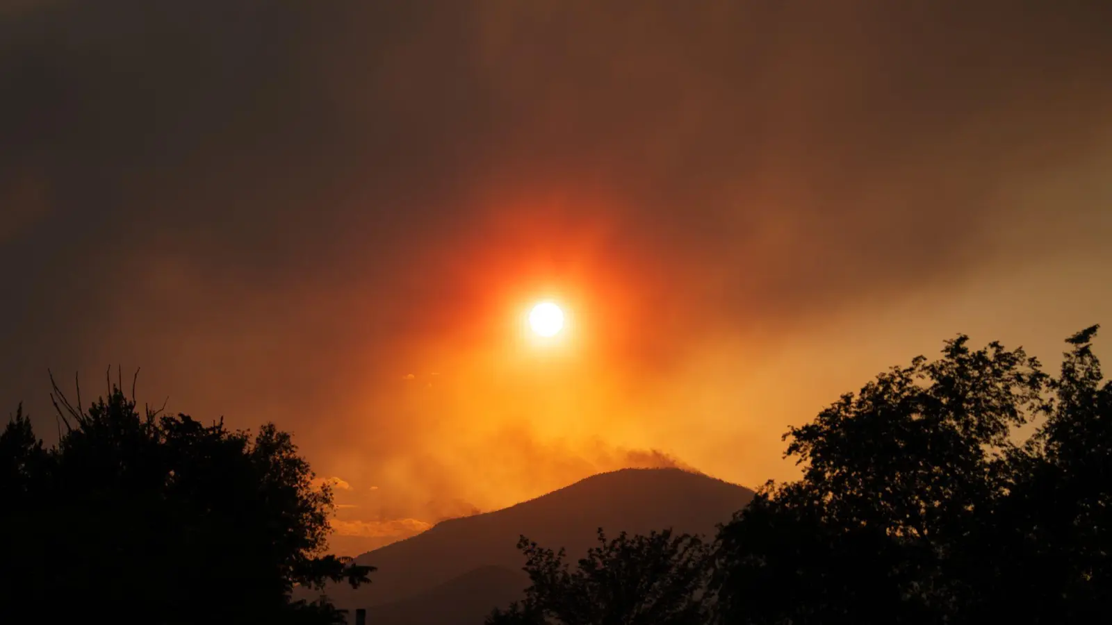Ein Waldbrand in Utah hat sich weiter ausgebreitet. (Foto: Charles Mcclintock Wilson/ZUMA Press Wire/dpa)