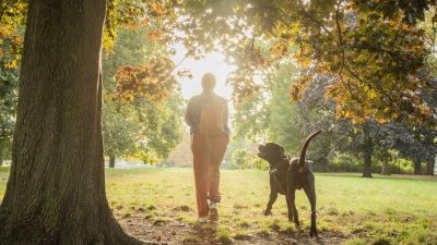 Vorsicht beim Spaziergang: Kastanien wecken bei Hunden den Spieltrieb, können aber gefährlich sein. (Foto: Christin Klose/dpa-tmn)