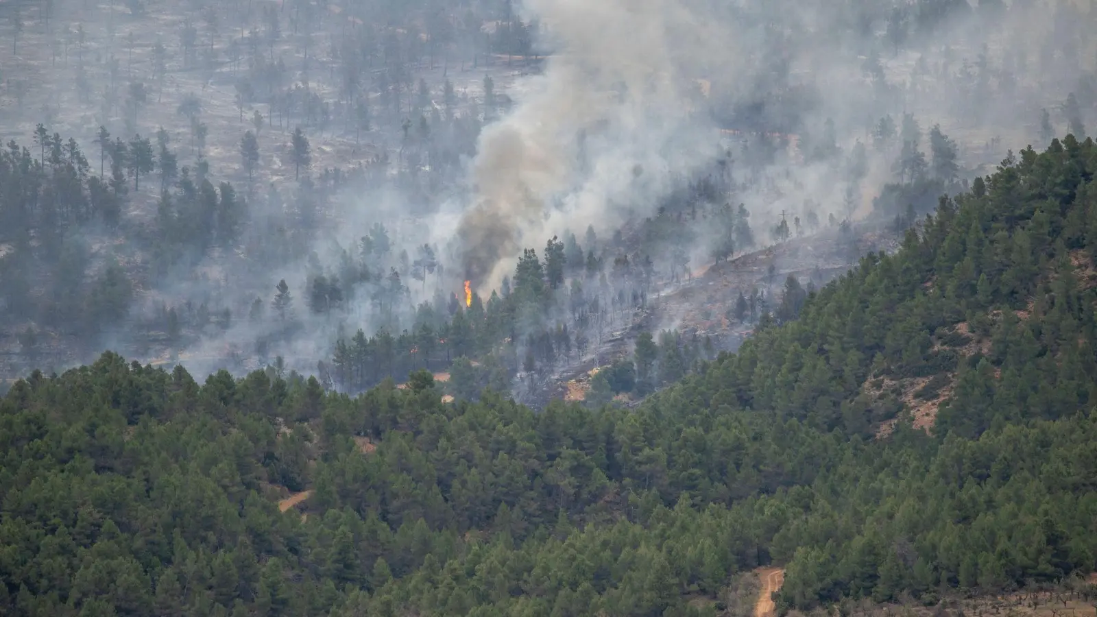 In San Agustín brennt der Wald. (Foto: Lorena Sopêna/EUROPA PRESS/dpa)