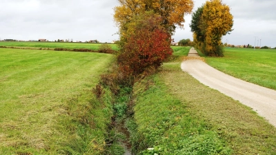 Die Pflege kleiner Bäche und Gräben, also von Gewässern dritter Ordnung, ist Sache der Kommunen. 13 haben sich dazu zum Gewässerzweckverband Frankenhöhe zusammengeschlossen. Doch der soll nun ausgedient haben. Die Mitglieder wollen individuelle Lösungen suchen. (Archivfoto: Heinz Wraneschitz )