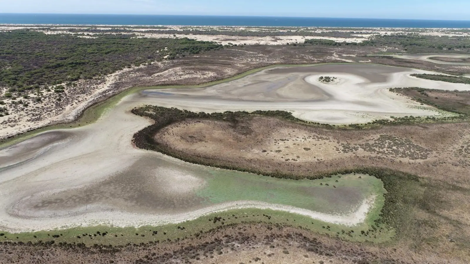 Die Lagune Santa Olalla im Nationalpark Coto de Doñana ist ausgetrocknet. (Foto: Banco de Imágenes de la EBD-CSIC/dpa)