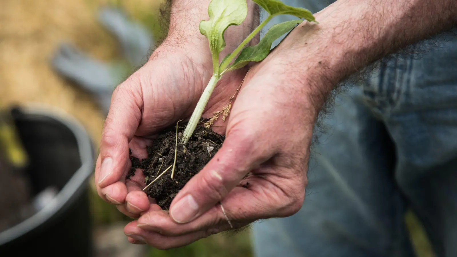 Gärtnern tut der Seele gut: Für viele ist Gartenarbeit ein Ausgleich zum Alltag und ein Weg zu besserer Stimmung. (Foto: Christin Klose/dpa-tmn)