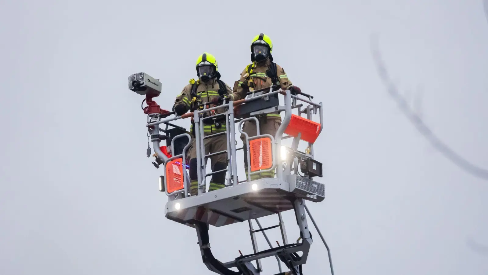 Trotz Drehleiter der Feuerwehr blieb die Katze der Frau verschwunden. (Symbolbild) (Foto: Christoph Soeder/dpa)