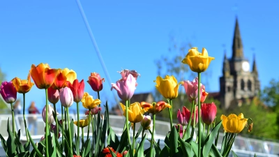 Der Frühling kündigt sich in Ansbach und Umgebung am Wochenende an. (Archivbild: Jim Albright)