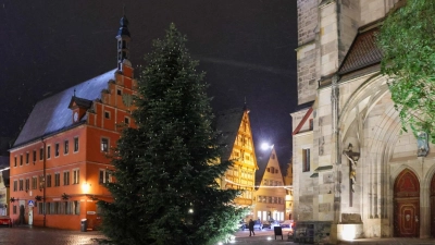 Erstrahlt am heutigen Donnerstagabend zum ersten Mal im Lichterglanz: der Dinkelsbühler Weihnachtsbaum vor dem Münster St. Georg. (F.: Martina Haas)