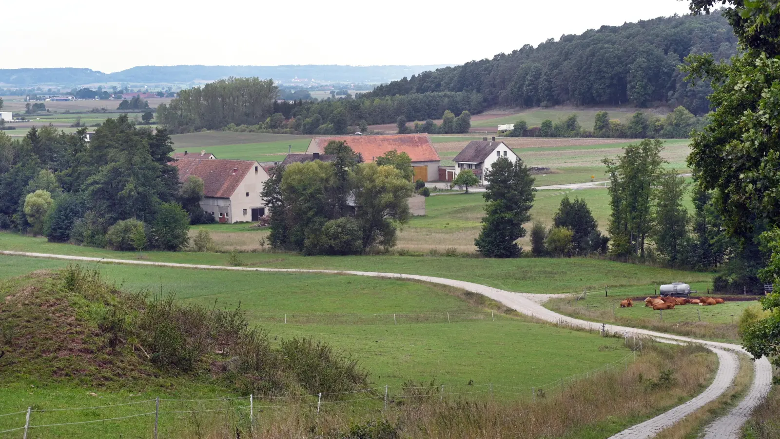 In den landwirtschaftlich geprägten Ortsteilen – hier ein Blick auf Käferbach – müssen die Bauern ihre Wohnhäuser über die Grundsteuer B versteuern. (Archivfoto: Jim Albright)