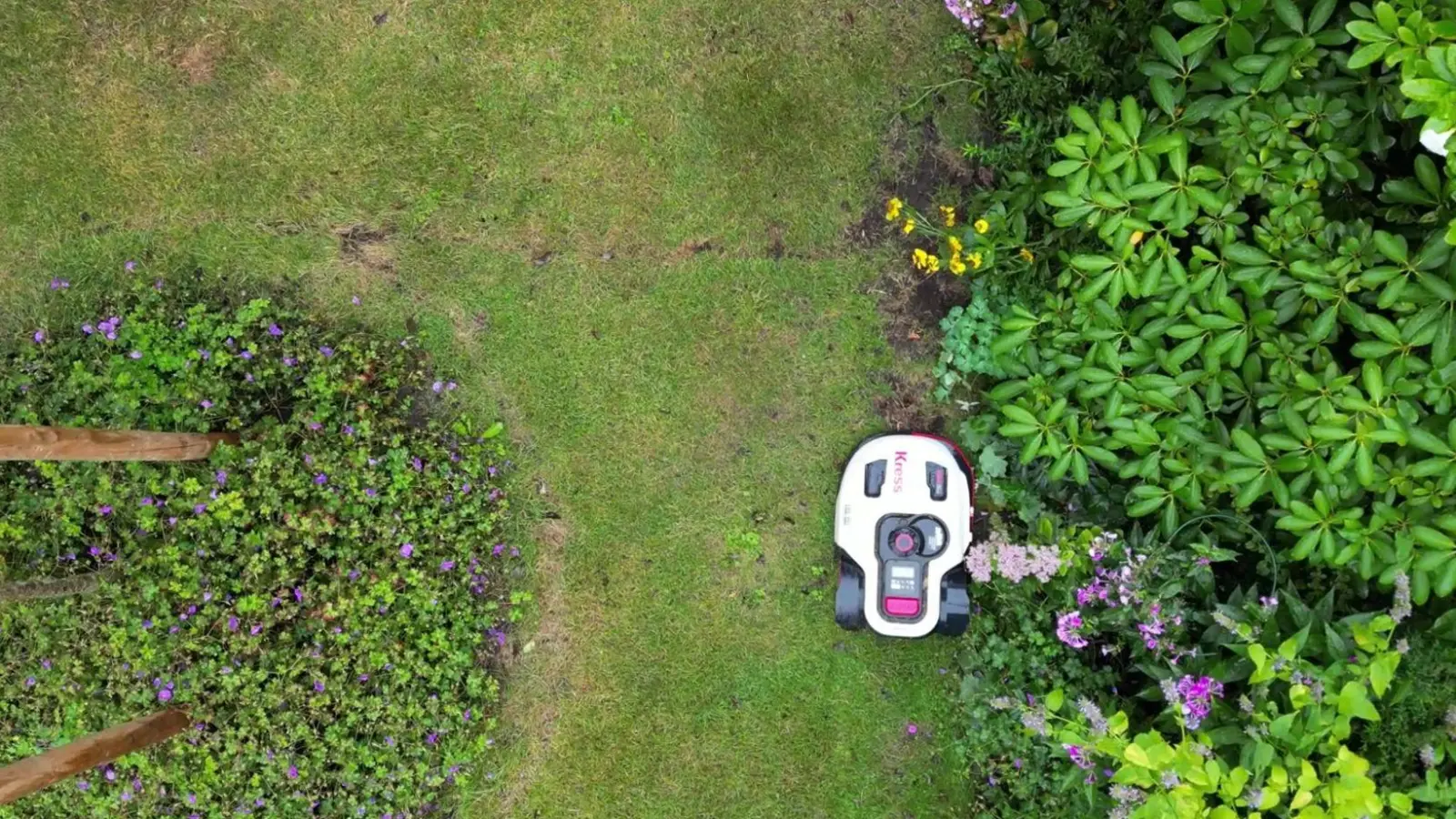 Schutz für Haustiere ist wichtig: Während des Mähens sollten Katzen und kleine Hunde im Haus bleiben. (Foto: Sascha Thelen/dpa)