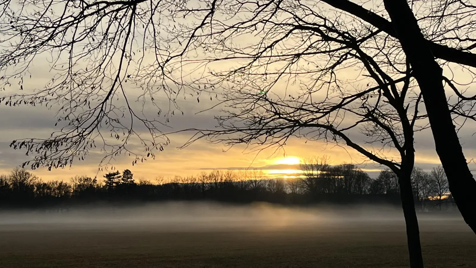 Traumhafte Atmosphäre - gesehen im Bad Windsheimer Kurpark (Foto: Anja Schöller )