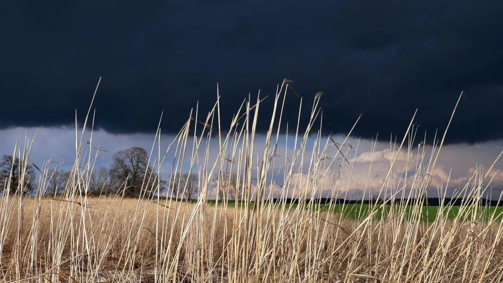 Gewitterwolken ziehen über ein Feld: Das Wetter am Abend ist durchwachsen. (Foto: Karl-Josef Hildenbrand/dpa)