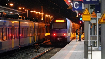 Leere Züge am Bahnhof Rosenheim in Bayern. (Foto: Uwe Lein/dpa)
