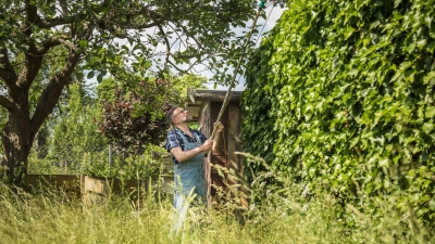 Ein Nachbar muss die Möglichkeit bekommen, Äste oder Zweige, die über das Grundstück hinausragen, selbstständig zu entfernen. (Foto: Christin Klose/dpa-tmn)