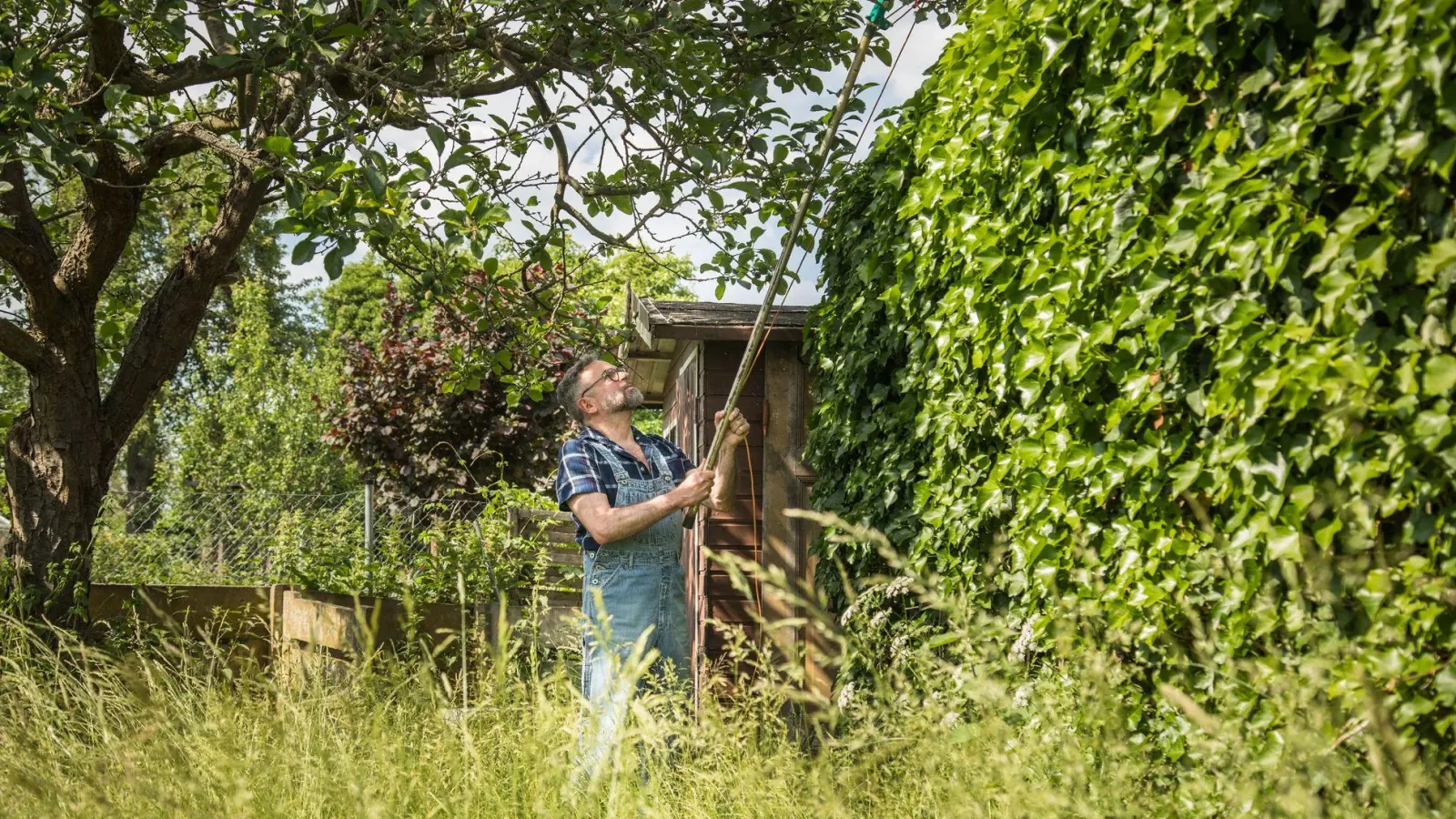Ein Nachbar muss die Möglichkeit bekommen, Äste oder Zweige, die über das Grundstück hinausragen, selbstständig zu entfernen. (Foto: Christin Klose/dpa-tmn)