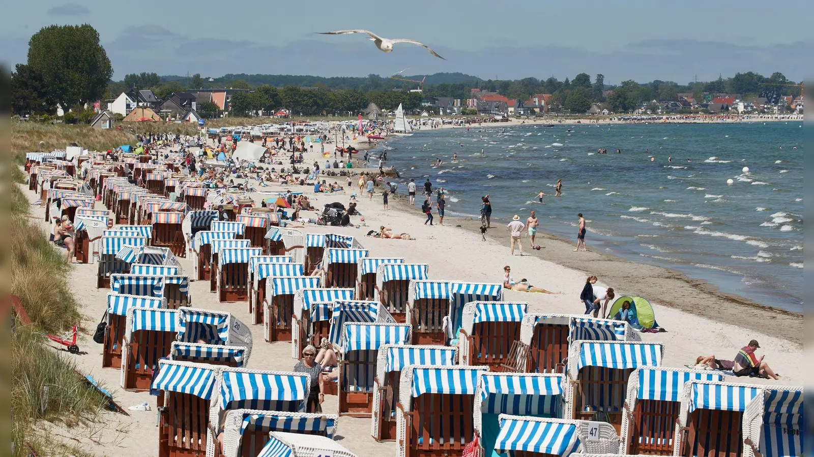 Die neue Woche verspricht Badewetter in Deutschland. (Foto: Georg Wendt/dpa)