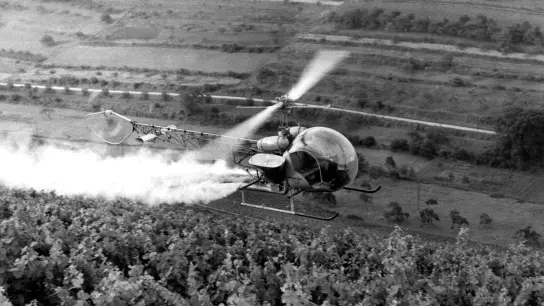 Gift aus feinen Düsen: Alte Fotos aus den 1950er Jahren zeigen Helikopter, die E 605 großflächig über rheinischen Weinbergen versprühen. (Foto: dpa)