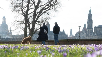 Frühlingshaftes Wetter kündigt sich schon vor dem meteorologischen Frühlingsbeginn am 1. März an. (Foto: Sebastian Kahnert/dpa)