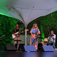 „Jazztime Ansbach” im grün illuminierten Museumsgarten: Die renommierte Saxophonistin Stephanie Lottermoser und ihre Band begeisterten das Ansbacher Publikum. (Foto: Elke Walter)