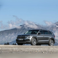 Großer kräftiger Bär: Solche Assoziationen mag der Name Kodiaq hervorrufen, doch ist der Skoda auch als Gebrauchter bärenstark? (Foto: Hans-Dieter Seufert/Skoda/dpa-tmn)