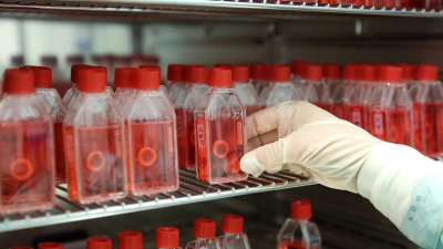 In einer Gewebebank zeigt eine Mitarbeiterin den Brutschrank mit präparierter menschlicher Hornhaut. (Foto: Bernd Wüstneck/dpa-Zentralbild/dpa)