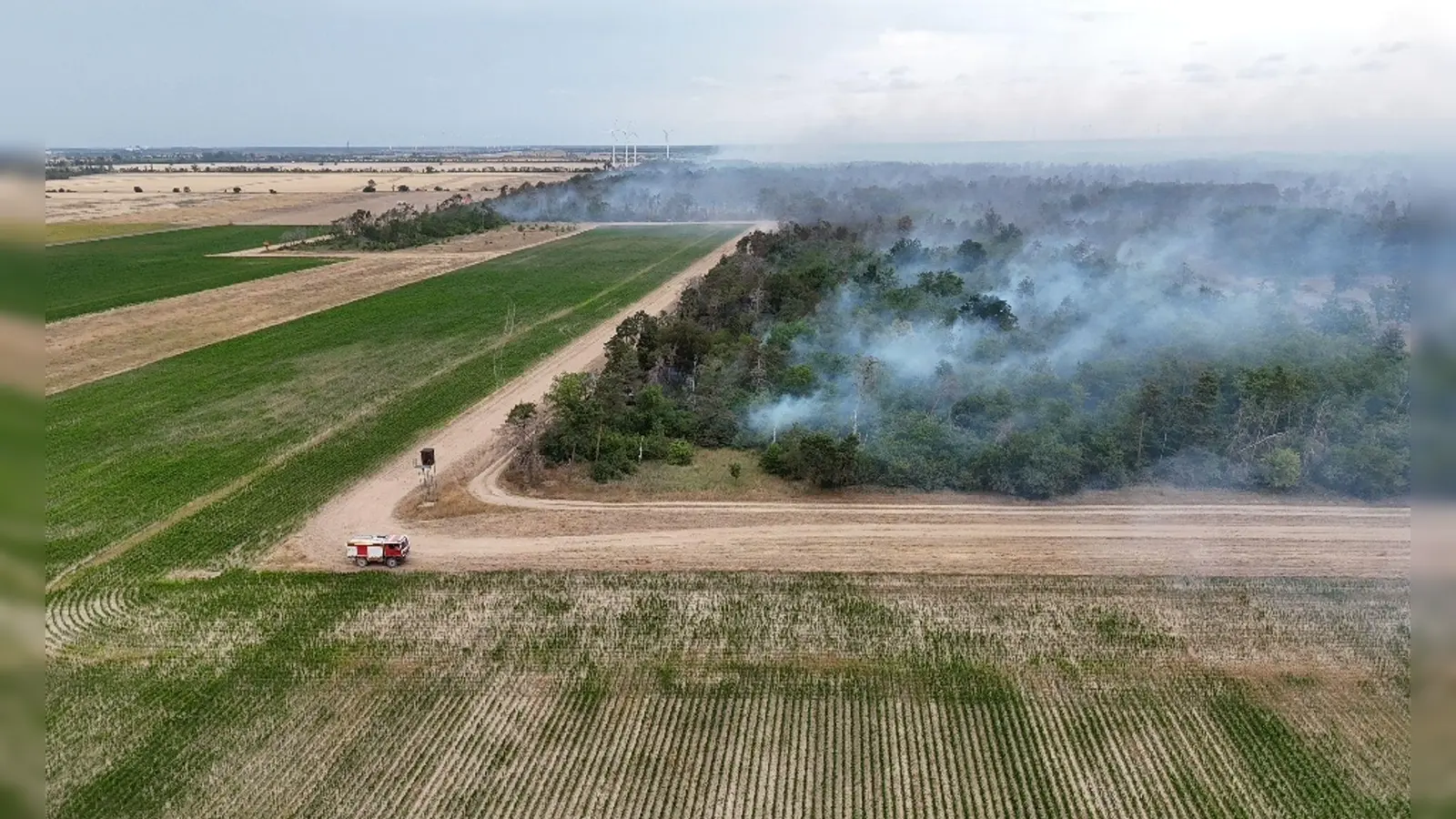 Wegen des Waldbrands in der Gohrischheide wurde Katastrophenalarm ausgelöst. (Foto: Sebastian Kahnert/dpa)