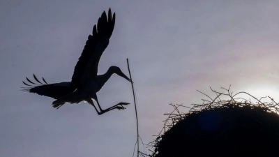 Vereinzelt kommt die Sonne durch, doch oft bleibt es Anfang der Woche bewölkt im Freistaat. (Archivbild) (Foto: Pia Bayer/dpa)