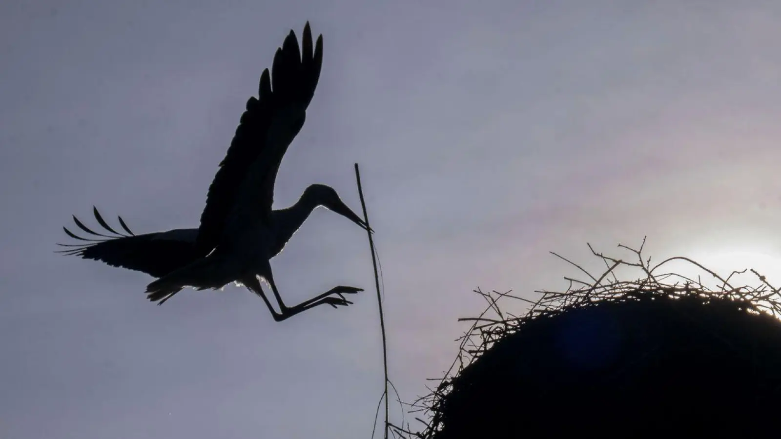 Vereinzelt kommt die Sonne durch, doch oft bleibt es Anfang der Woche bewölkt im Freistaat. (Archivbild) (Foto: Pia Bayer/dpa)