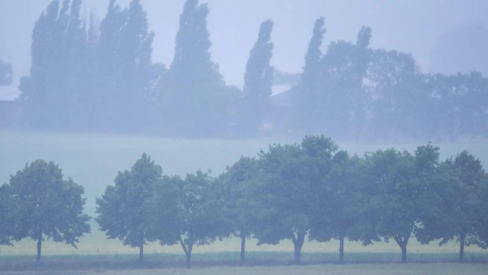 Im Nordosten Deutschlands wird heftiger Regen erwartet. (Archivbild) (Foto: Jens Büttner/dpa)