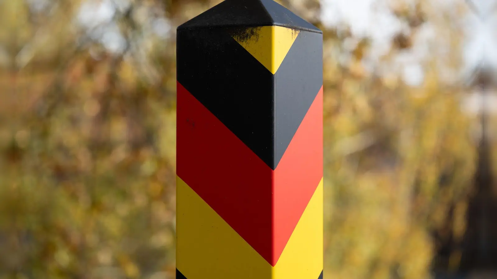 In Polen blickt man mit Besorgnis auf einen denkbaren Wahlsieg der AfD in Sachsen-Anhalt. (Archivbild)  (Foto: Sebastian Kahnert/dpa)