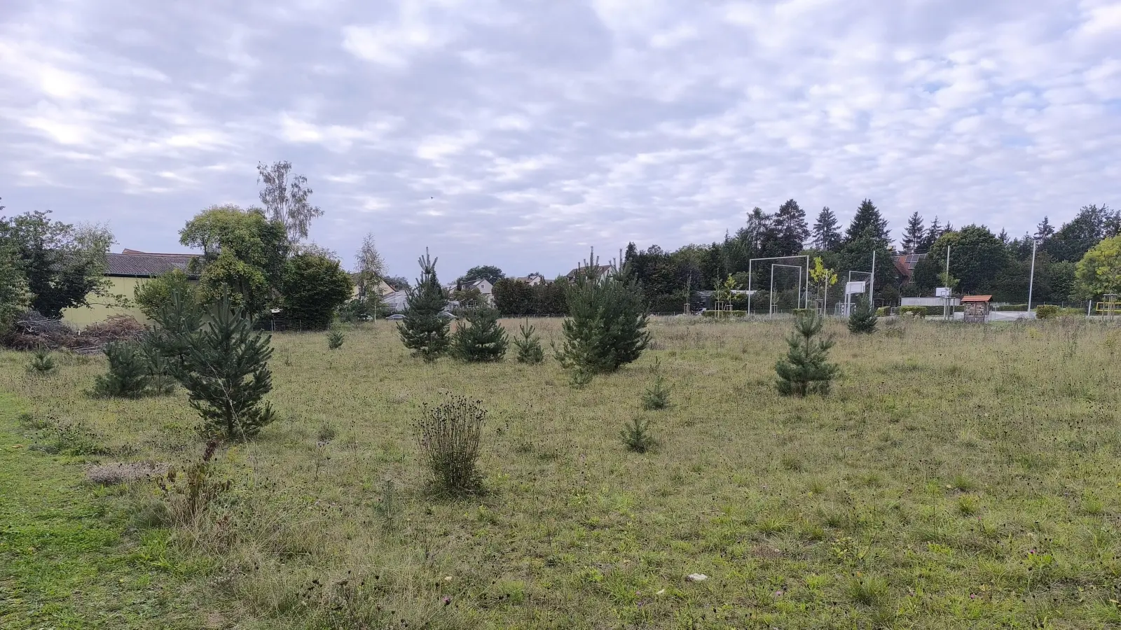 Auf diesem Gelände soll die neue Doppelturnhalle des Johann-Sebastian-Bach-Gymnasiums Windsbach errichtet werden.  (Foto: Thomas Schaller)