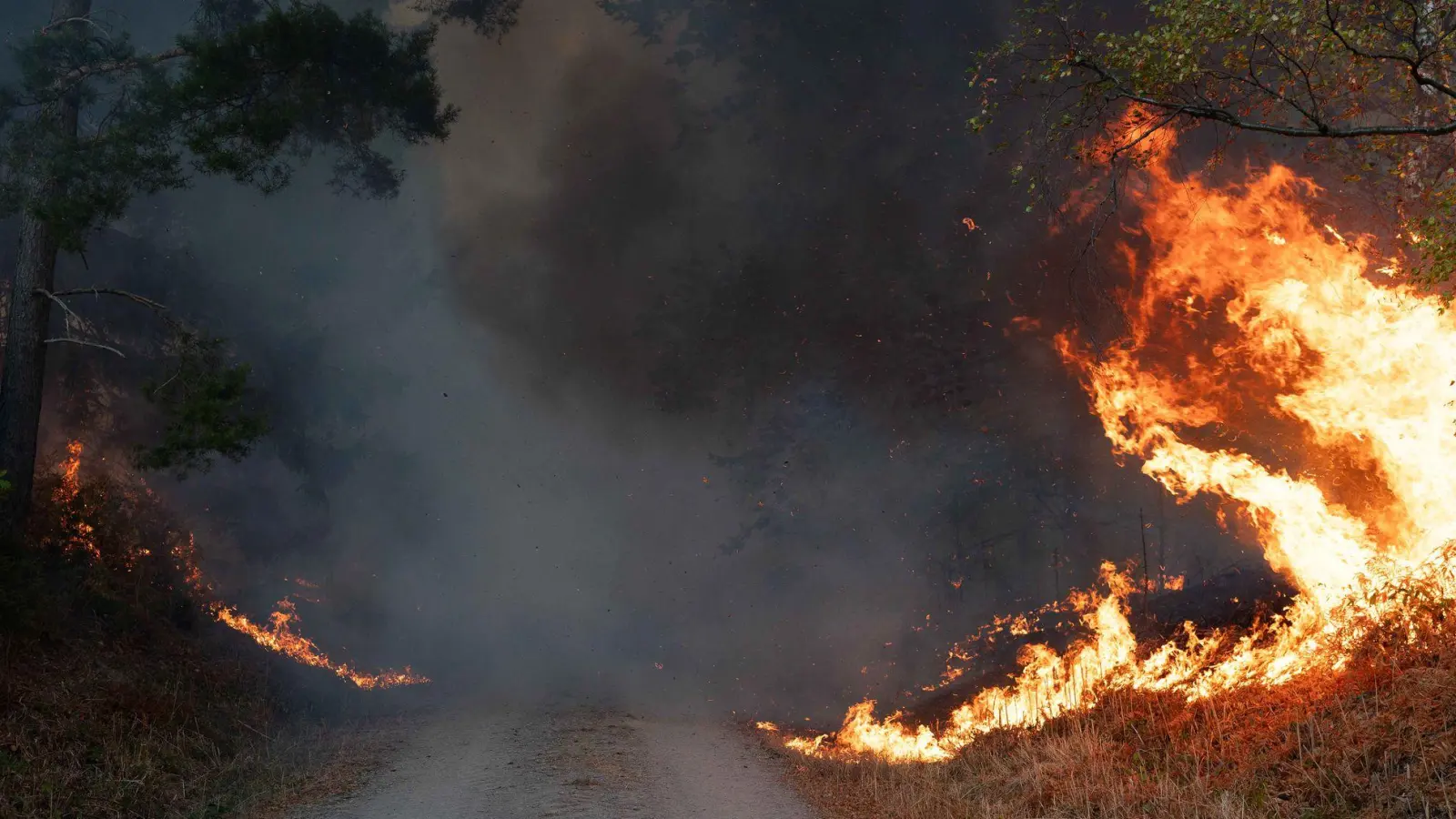 Die Ursache des Waldbrandes ist bislang nicht bekannt. (Foto: Jan Ohmen/dpa)