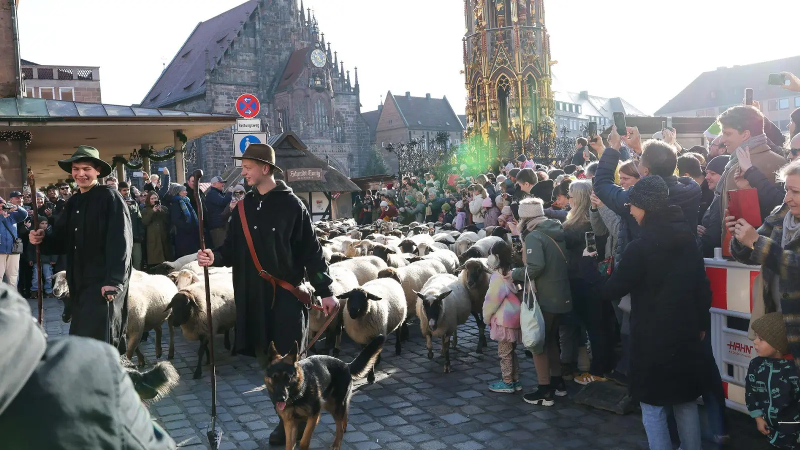 Eine Herde mit 600 Schafen ist in Nürnberg mitten durch die Stadt zu ihren Winterweiden gezogen.  (Foto: Daniel Löb/dpa)
